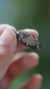 Watermelon Tourmaline Pendant 925 Sterling Silver Oxidized Claw Necklace Heart Chakra Libra Virgo Gift