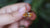 Citrine Marquise Pendant 925 Sterling Silver High Shine Claw Necklace Solar Plexus Chakra Leo Fire Gift