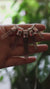 Australian Smoky Citrine Quartz Pendant 925 Sterling Silver Snake Chain Phantom Crystal Stack Jewelry