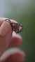 Rubellite Tourmaline Pendant 925 Sterling Silver Oxidized Claw Necklace Heart Chakra Libra Scorpio Gift