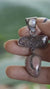 Moonstone Raw Ruby Rhodochrosite Pendant, Oxidized Sterling Silver, Brushed Dangle Charm, Heart Root Chakra, Cancer Leo