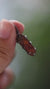 Orange Kyanite Claw Pendant 925 Sterling Silver Oxidized Necklace Root Sacral Chakra Leo Aries Gift