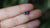 Australian Sapphire Stud Earrings 18k Gold Plated 925 Sterling Silver 4 Prong Claw Set September Birthstone Gift