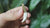 Antique Tooth Pendant Gold Plated Brass Tribal Necklace Pivot Bail Bone Talisman Rustic Boho Jewelry Gift