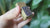 Amethyst Brass Matchbox Keepsake Box Polished Cast Brass Crystal Storage Case Antique Style Talisman Gift