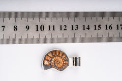 Half slice Ancient Ammonite Ammolite Fossil - Stack Pendant / Necklace - 925 Sterling silver - No.6