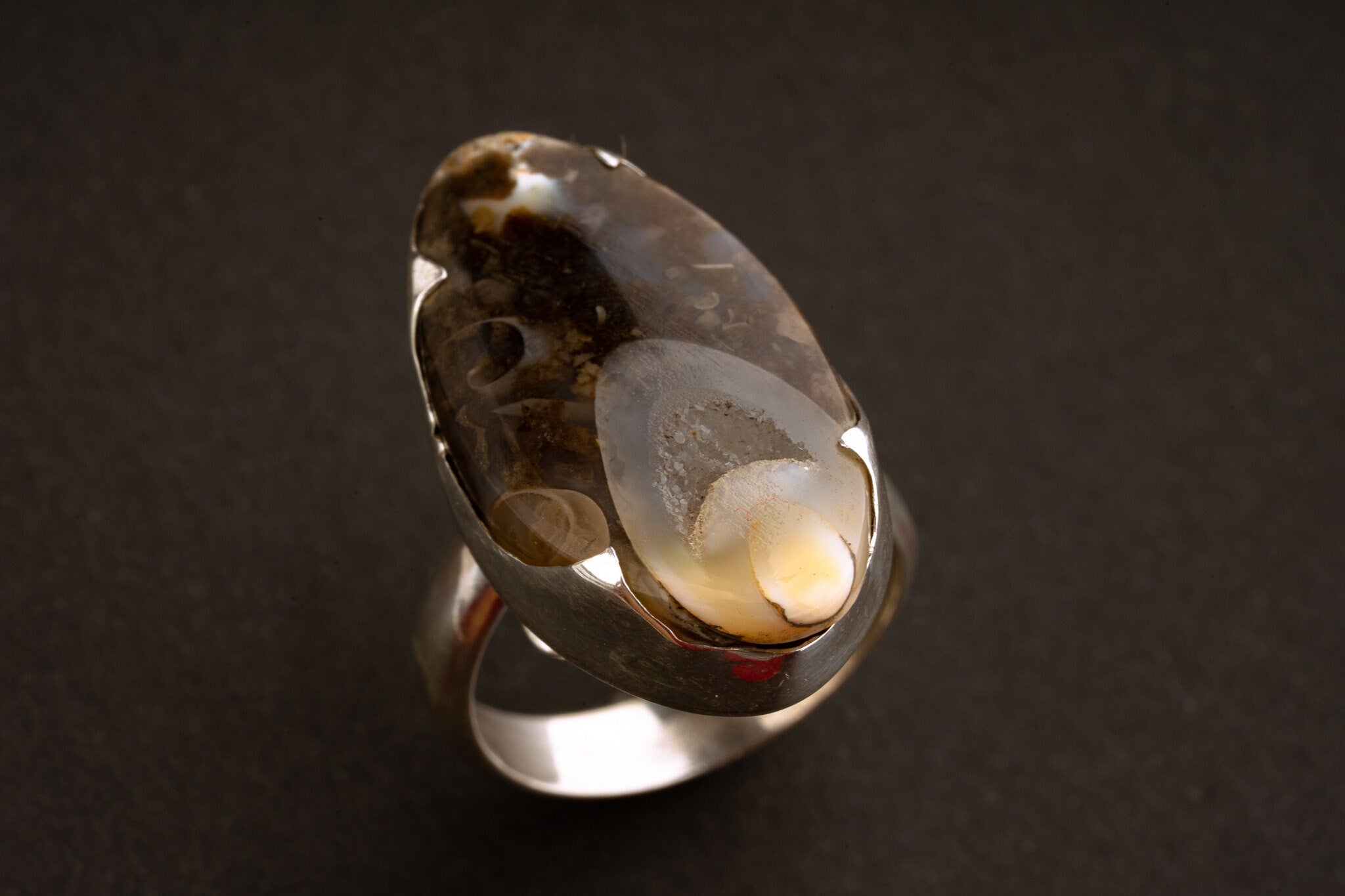 Ammonite Fossilised Shell slice Ring - Adjustable Crystal Ring - Size 4 - 10 US