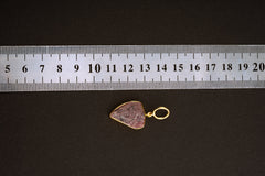Tooth shaped Ruby with record keepers & black Mica inclusions Pendant - Gold Plated Sterling Silver - Crystal Necklace