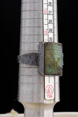 Freeform Raw Labradorite - Unisex / Men - Large Crystal Ring - Size 14 US - 925 Sterling Silver - Hammer Textured & Oxidised