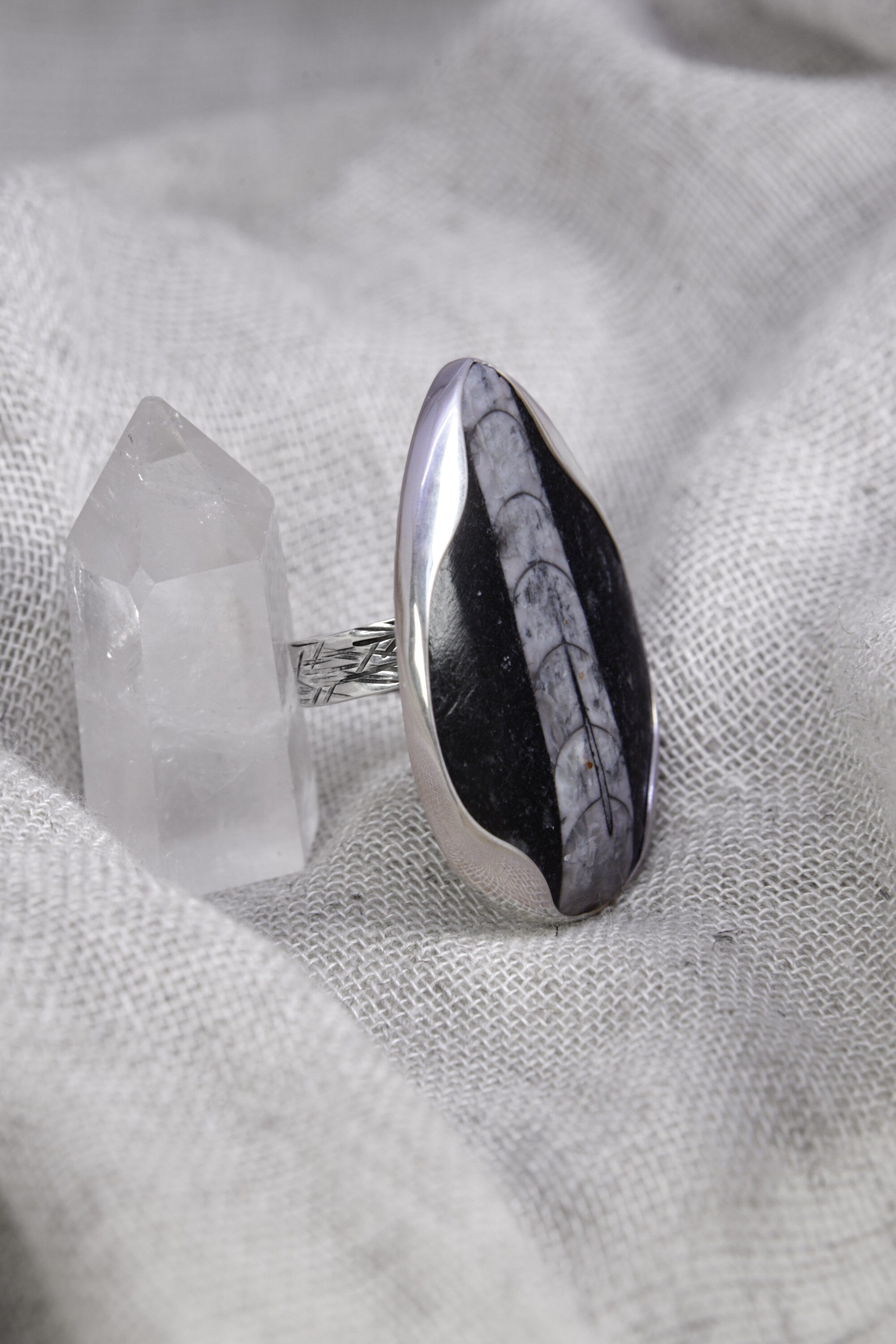 A Sturdy Embrace of Ancient Mysteries and Modern Craft: Adjustable Sterling Silver Ring with Fossil - Unisex - Size 5-12 US