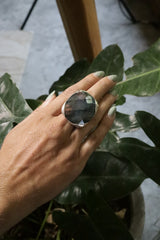 A Sturdy Embrace of Mystical Gleam: Adjustable Sterling Silver Ring with Square Labradorite - Unisex - Size 5-12 US - NO/03